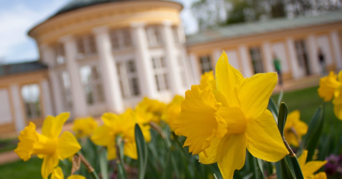 Марианские Лазни — в самом сердце Европы. Без перелёта, без стресса
