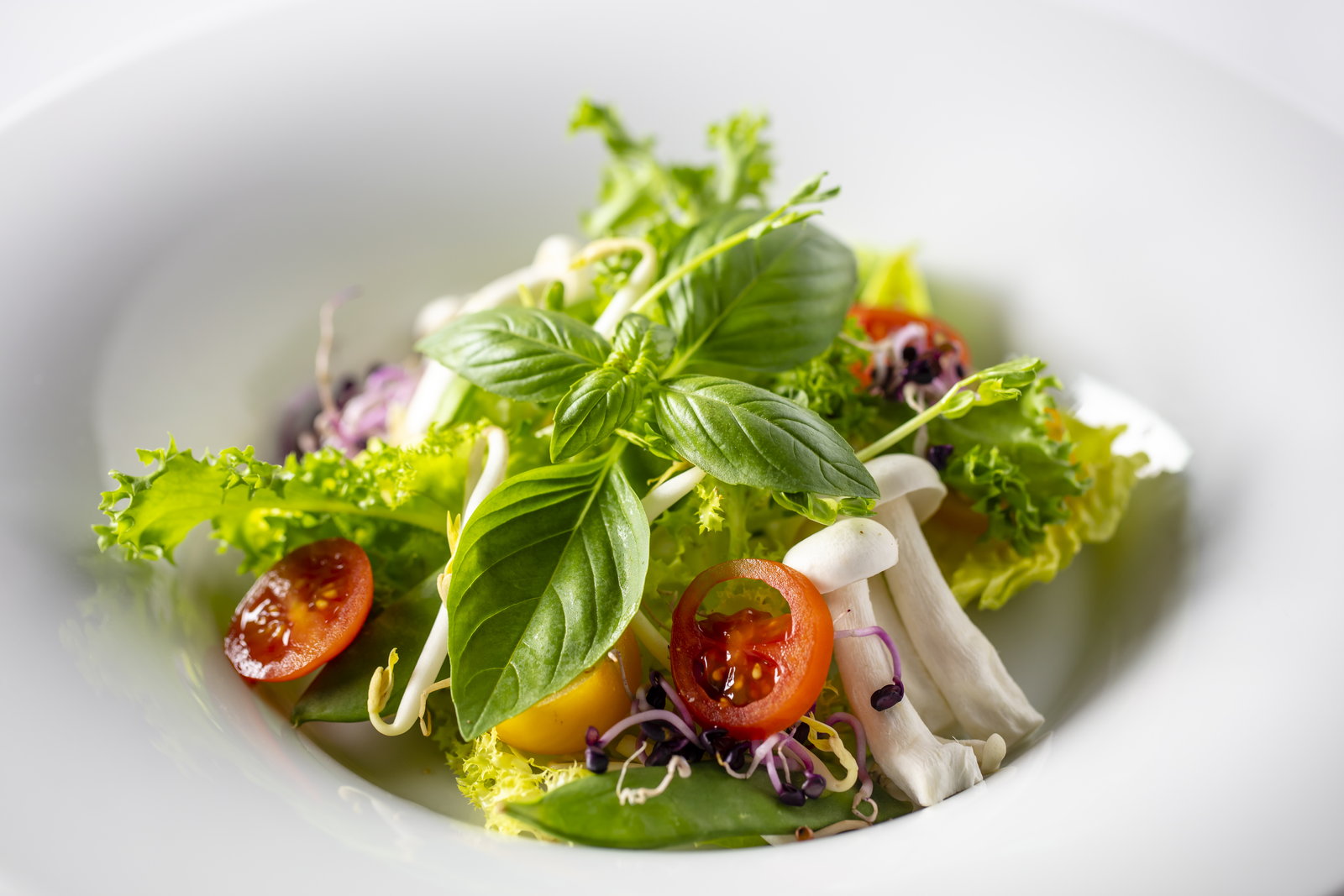 Komponovaný salát z frisée salátu, cherry rajčat, hlívy enoki, bazalky a klíčků v bílé misce.