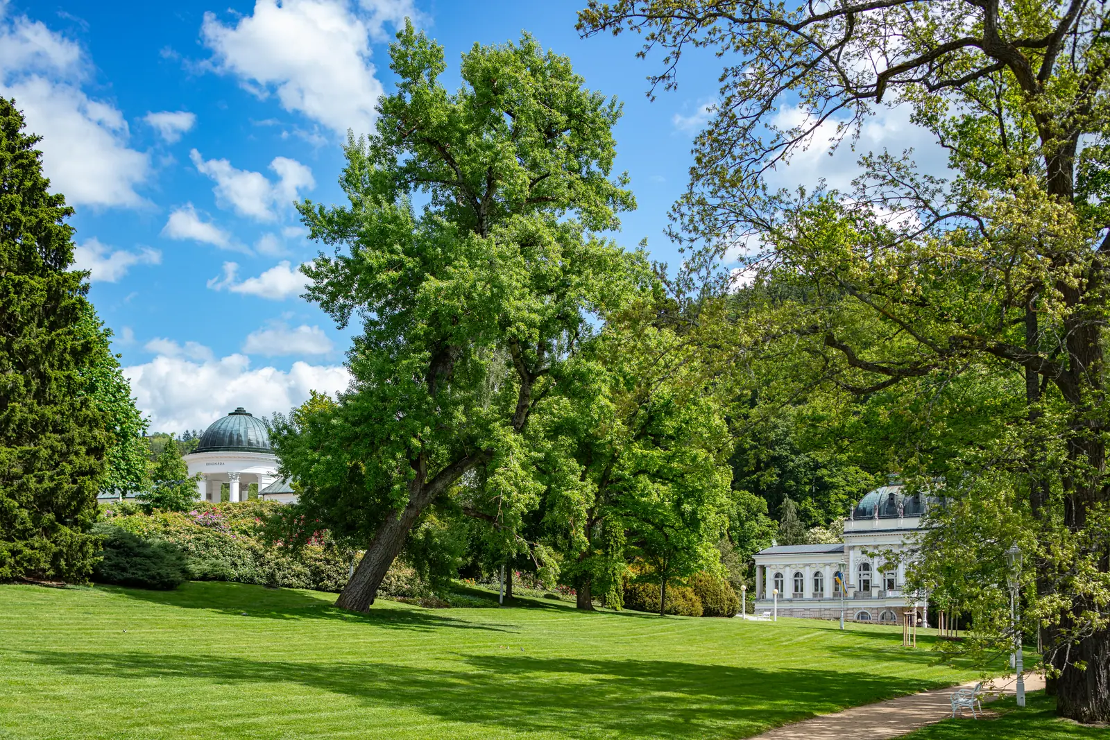 Kurpark mit alten Bäumen und der Kuppel eines Pavillons, dahinter bewaldete Hänge
