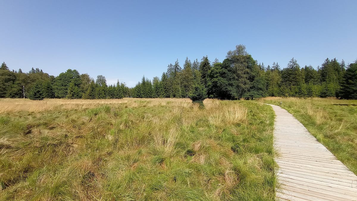 Kladská – Moorlehrpfad