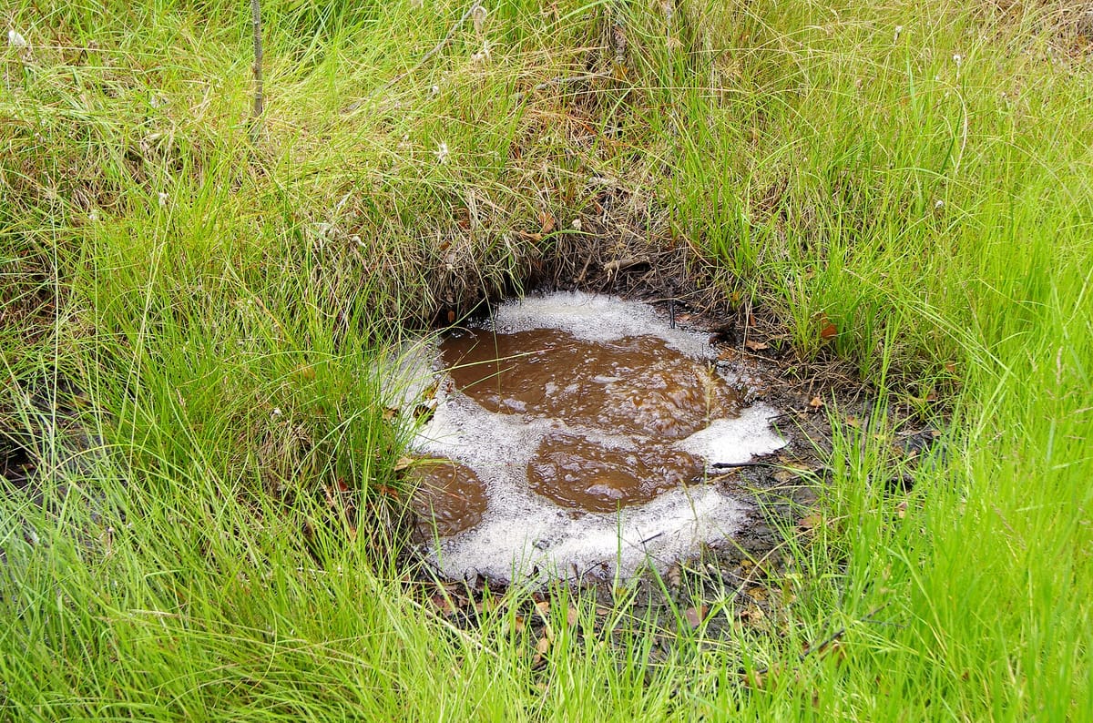 Naturreservat Soos