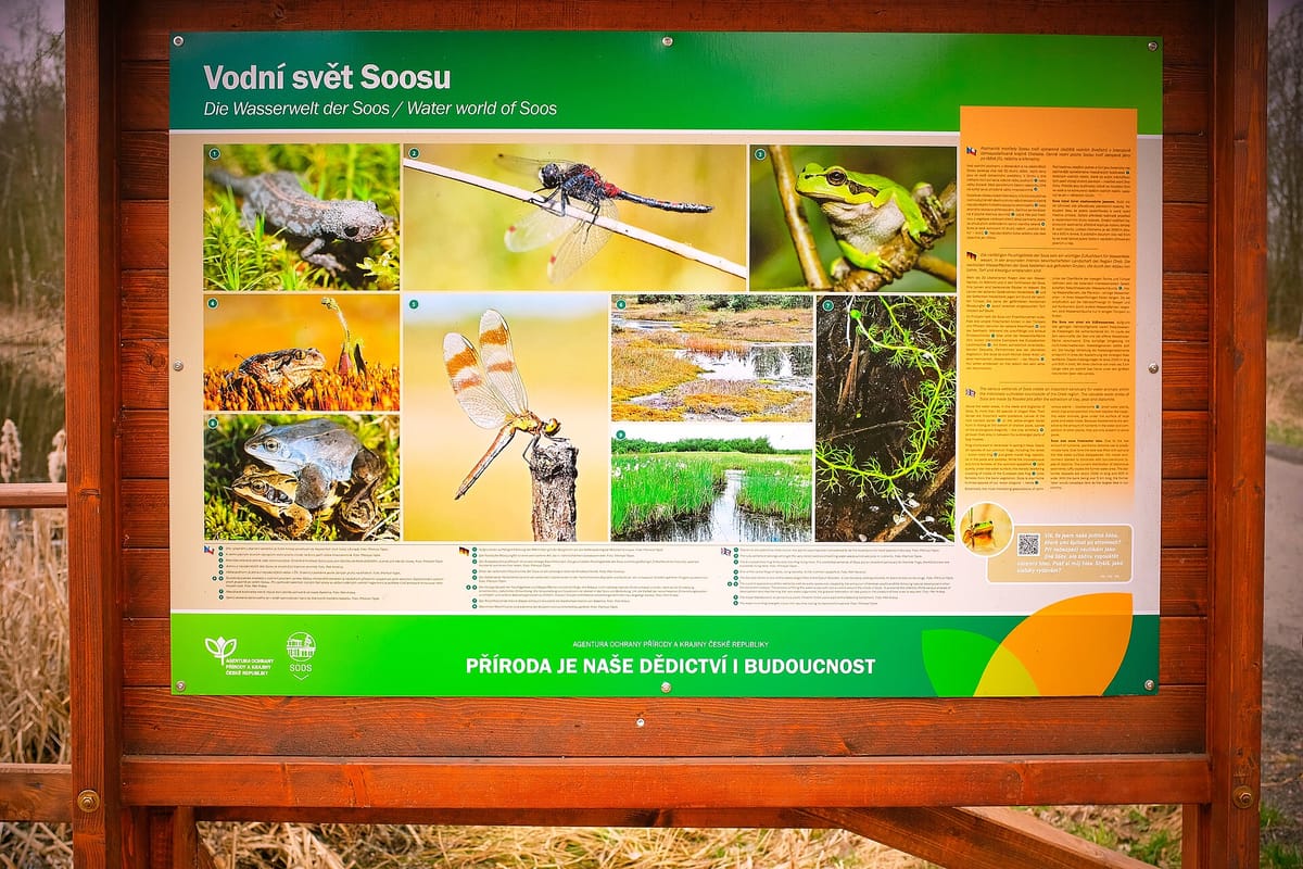 Naturreservat Soos