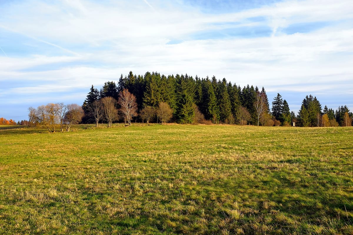 Aussichtsturm Krásno